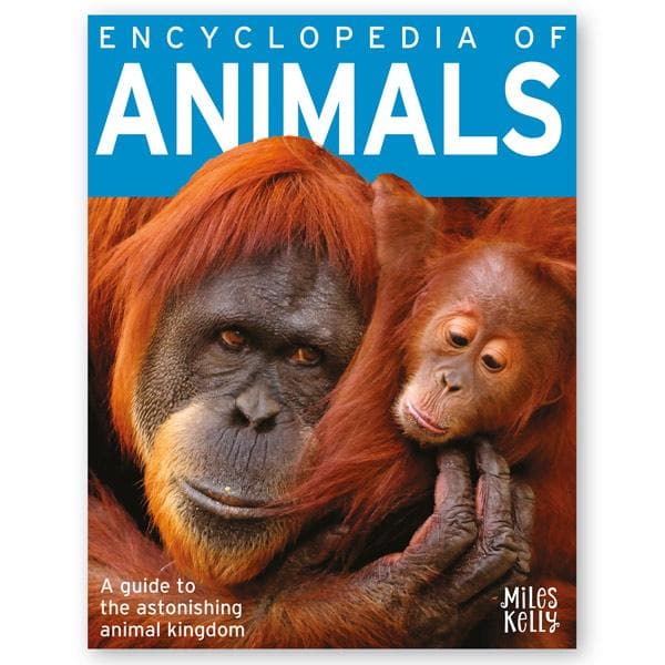 Books  ENCYCLOPEDIA OF ANIMALS-MILES KELLY